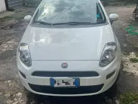 Usata Fiat Punto 77 CV (56 kW) 2016 Bianco Utilitaria