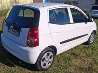 Usata Kia Picanto 63 CV (46 kW) 2010 Bianco Utilitaria