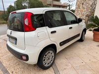 Usata Fiat Panda Easy 69 CV (50 kW) 2020 Bianco Utilitaria