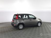 Usata Fiat Panda S 69 CV (50 kW) 2023 Grigio maestro Utilitaria
