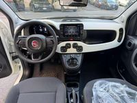 Nuova Fiat Panda Cross 69 CV (50 kW) 2026 Bianco Utilitaria