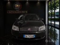 Usata Fiat Punto Active 60 CV (44 kW) 2009 Nero Utilitaria