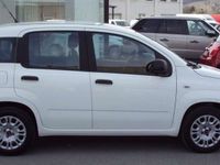 Usata Fiat Panda Easy 69 CV (50 kW) 2019 Bianco Utilitaria