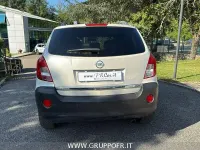 Usata Opel Antara Cosmo 163 CV (119 kW) 2012 Bianco SUV