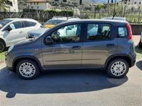 usata Fiat Panda 1.0 FireFly S&S Hybrid Ok Neopatentat