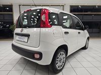 Usata Fiat Panda Easy 95 CV (69 kW) 2018 Bianco Berlina