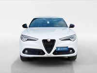 Usata Alfa Romeo Stelvio Ti 209 CV (153 kW) 2022 Bianco SUV