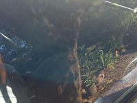 Usata Fiat Punto 60 CV (44 kW) 2001 Bianco Utilitaria