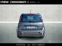 Usata Fiat Panda Cross Cross 70 CV (51 kW) 2020 Grigio scuro Utilitaria