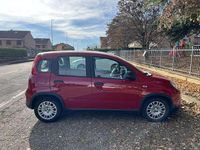 Usata Fiat Panda S 69 CV (50 kW) 2024 Utilitaria