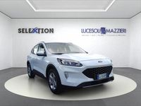 Usata Ford Kuga 120 CV (88 kW) 2022 Bianco SUV