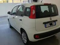 Usata Fiat Panda Lounge 95 CV (69 kW) 2018 Bianco Utilitaria