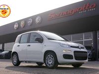 Nuova Fiat Panda Pop 69 CV (50 kW) 2025 Bianco gelato Utilitaria