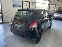 usata Lancia Ypsilon 1.2 69 CV 5 porte S&S Elefantino Blu usato