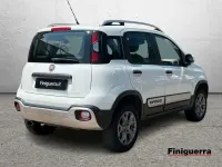 Usata Fiat Panda Cross Cross 90 CV (66 kW) 2015 Bianco Utilitaria