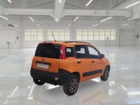 Usata Fiat Panda 4x4 Pop 80 CV (58 kW) 2017 Utilitaria