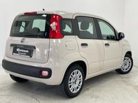 usata Fiat Panda 1.2 Pop del 2017 usata a Lurate Caccivio