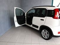 usata Fiat Panda Cross 1.0 FireFly S&S Hybrid City usato