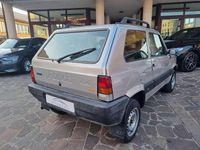 Usata Fiat Panda 4x4 Climbing 54 CV (39 kW) 2002 Argento Utilitaria