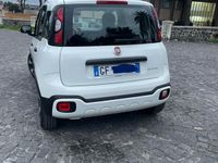 usata Fiat Panda Cross 2022