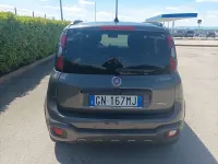 Usata Fiat Panda Cross Cross 69 CV (50 kW) 2023 Utilitaria