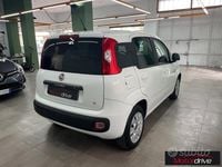 Usata Fiat Panda Easy 69 CV (50 kW) 2019 Bianco Utilitaria