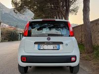 Usata Fiat Panda Lounge 69 CV (50 kW) 2016 Bianco Utilitaria