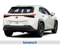 Usata Lexus UX 183 CV (134 kW) 2024 Bianco SUV