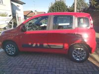Usata Fiat Panda Lounge 69 CV (50 kW) 2020 Utilitaria