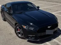 Usata Ford Mustang 291 CV (214 kW) 2021 Nero Coupé