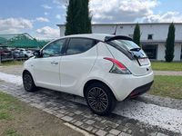 Usata Lancia Ypsilon Gold 70 CV (51 kW) 2023 Bianco Utilitaria