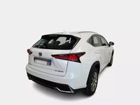 Usata Lexus NX300h Executive Line 155 CV (114 kW) 2019 Bianco SUV