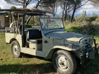 Usata Fiat Campagnola 79 CV (58 kW) 1986 SUV