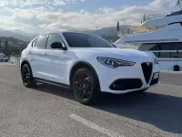 Usata Alfa Romeo Stelvio Executive 209 CV (153 kW) 2019 SUV