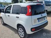 Usata Fiat Panda Pop 84 CV (61 kW) 2020 Bianco Utilitaria