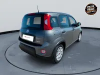 Usata Fiat Panda S 69 CV (50 kW) 2023 Grigio Utilitaria