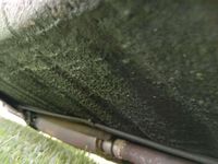 Usata Jaguar E-Type 272 CV (200 kW) 1977 Other Cabrio