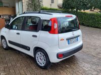 usata Fiat Panda benzina - GPL