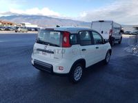 usata Fiat Panda Panda My24 1.0 70cv Hybrid