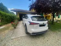 Usata Lexus NX300h Business Edition 155 CV (114 kW) 2020 Bianco SUV