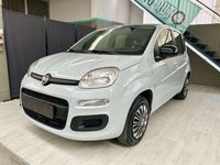 Usata Fiat Panda 69 CV (50 kW) 2019 Grigio Utilitaria