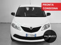 Usata Lancia Ypsilon Gold 69 CV (50 kW) 2019 Bianco Utilitaria