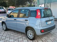 Usata Fiat Panda Easy 69 CV (50 kW) 2018 Grigio Utilitaria