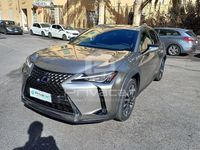 Usata Lexus UX 152 CV (111 kW) 2020 Grigio SUV