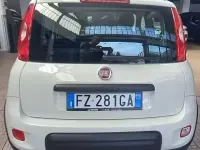 Usata Fiat Panda 4x4 S 84 CV (61 kW) 2019 Bianco Utilitaria