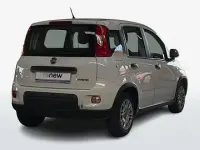 Usata Fiat Panda Easy 69 CV (50 kW) 2024 Bianco Utilitaria