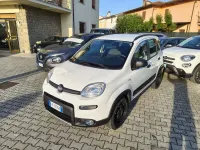Usata Fiat Panda 4x4 S 95 CV (69 kW) 2018 Gelato Utilitaria