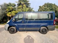 usata Fiat Ducato 9 posti