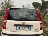 Usata Fiat Panda 77 CV (56 kW) 2010 Bianco Utilitaria