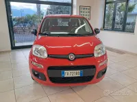 Usata Fiat Panda Easy 69 CV (50 kW) 2019 Rosso Utilitaria
